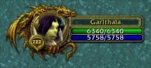 addon-Elite-player-frame-335_3